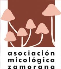  Hola a todos:
Una vez que parece que la pandemia ha bajado su influencia en nuestra vida cotidiana, desde la Asocición Micologica Zamorana ...