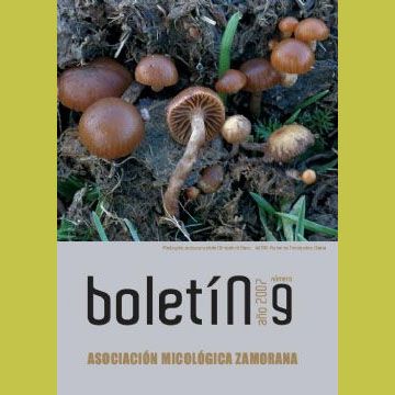 BOLETIN AMIZA N 9 AO 2007