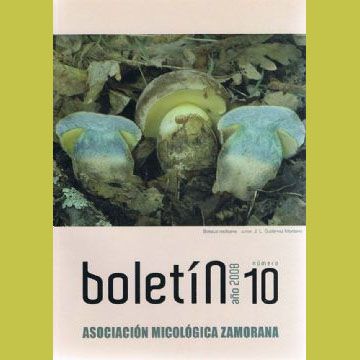 BOLETIN AMIZA N 10 AO 2008