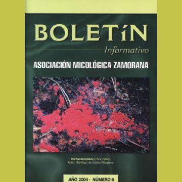 BOLETIN AMIZA Nº 6 AÑO 2004