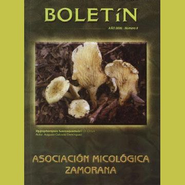 BOLETIN AMIZA N 8 AO 2006