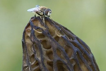 Segundo premio - Concurso de fotografa 2010