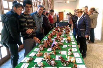 Publico observando los ejemplares expuestos