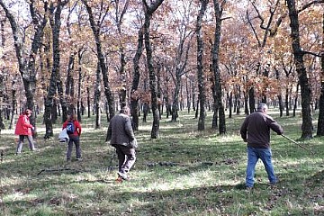 BUSCANDO EJEMPLARES EN EL ROBLEDAL